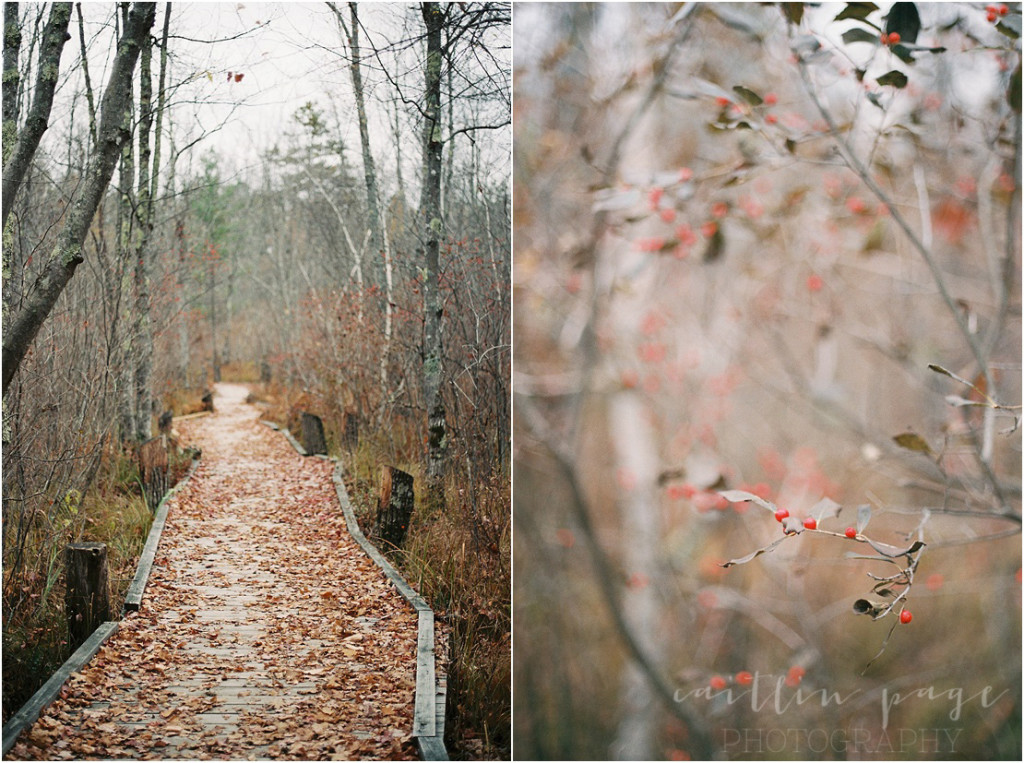 Superia 400 Film Fall 201500004