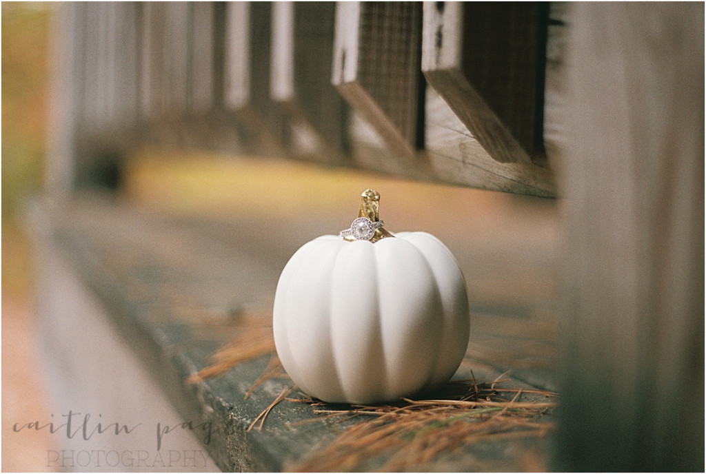 Superia 400 Film Fall 201500011