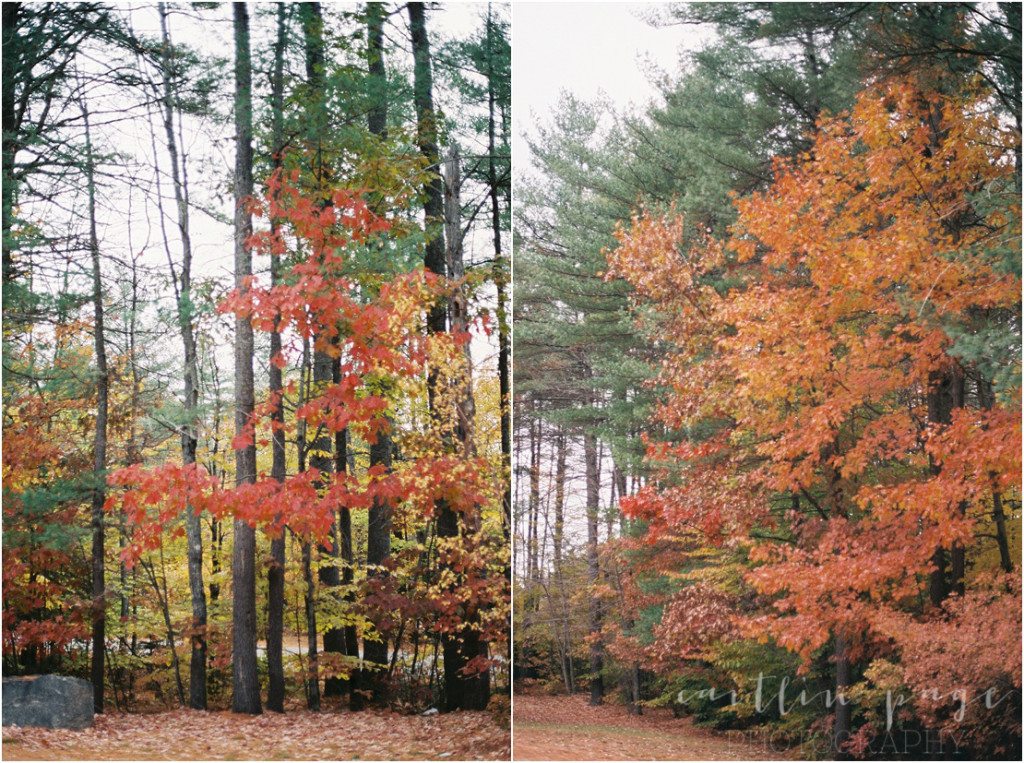 Superia 400 Film Fall 201500015