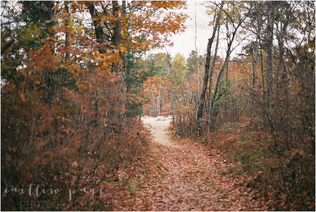 Superia 400 Film Fall 201500019