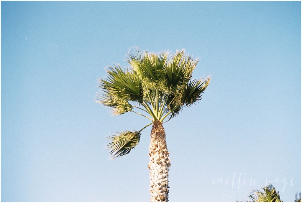 Huntington Beach California Portraits on Film Caitlin Page Photography 00007