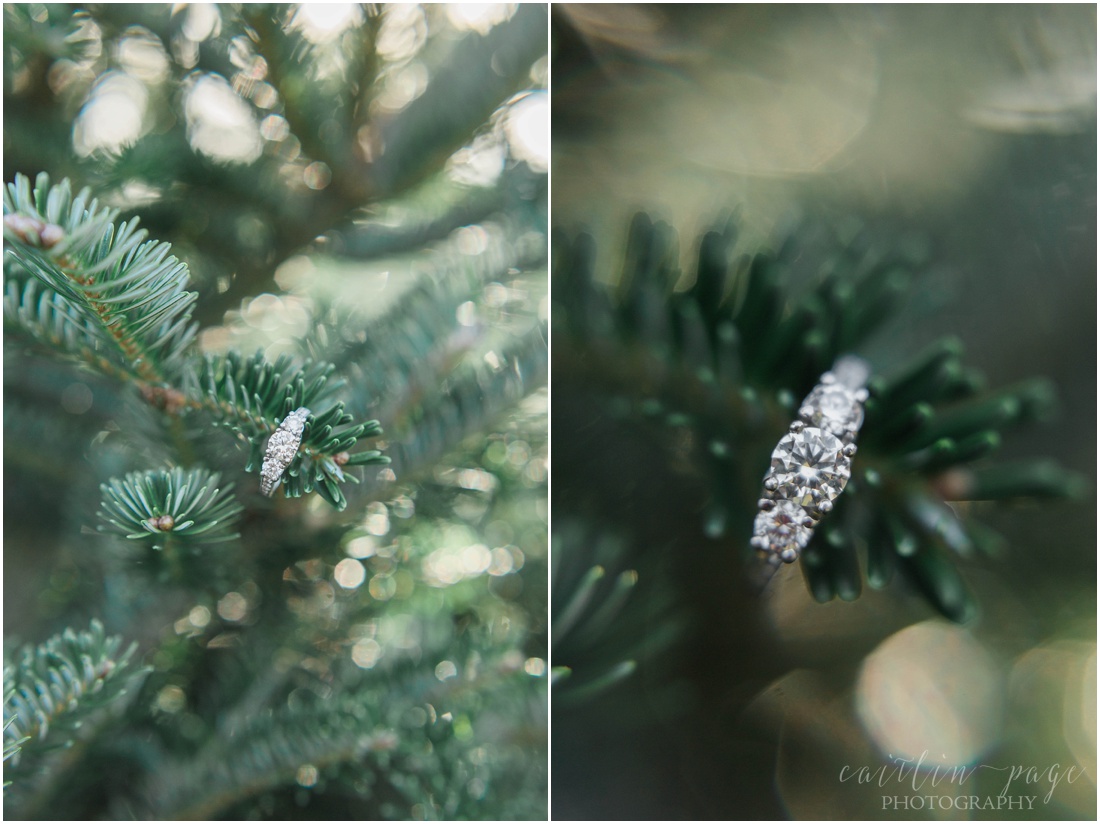 Engagement Photos at a Christmas Tree Farm Litchfield, New Hampshire Kyle & Jillian