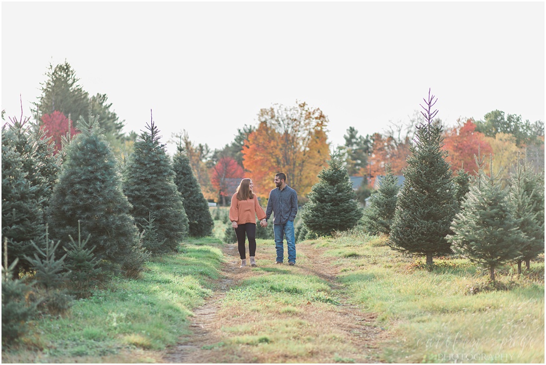 Engagement Photos at a Christmas Tree Farm Litchfield, New Hampshire