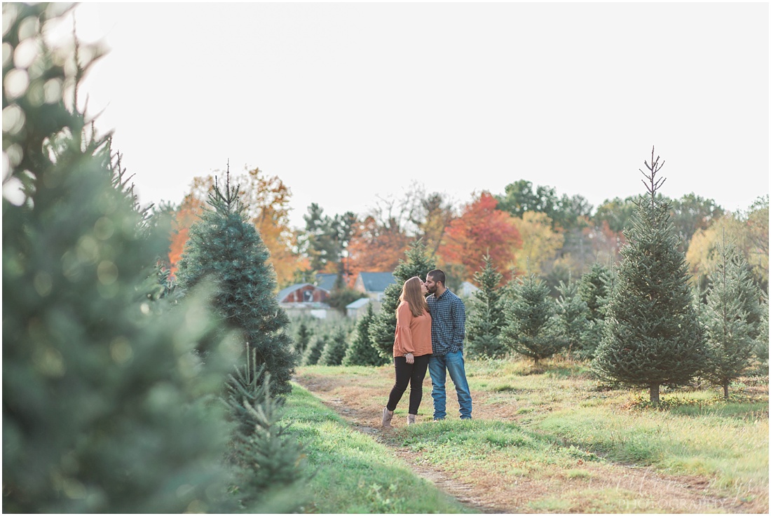 Engagement Photos at a Christmas Tree Farm Litchfield, New Hampshire