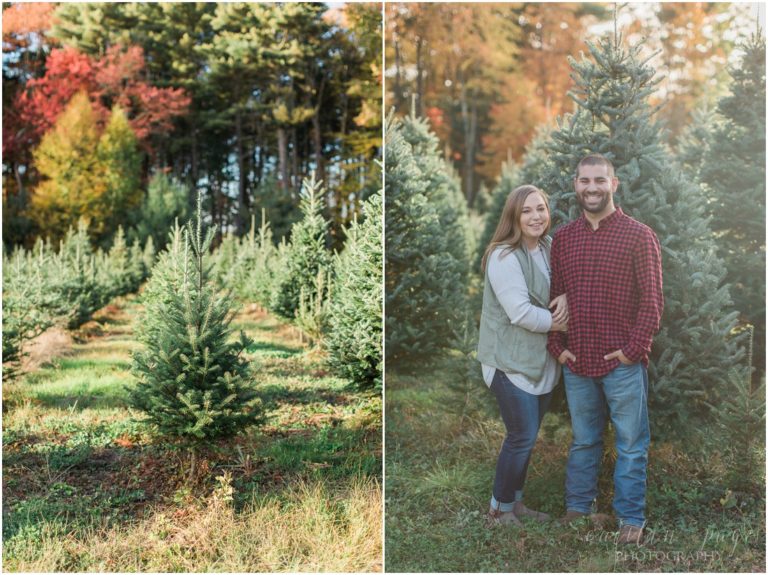 Engagement Photos at a Christmas Tree Farm Litchfield, New Hampshire