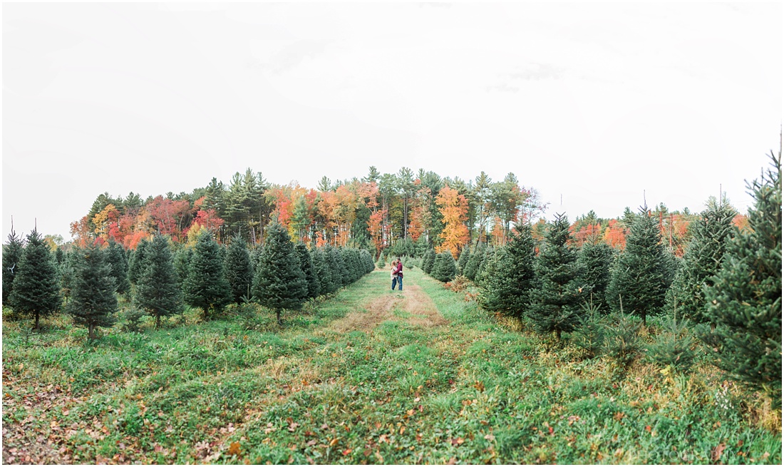 Engagement Photos at a Christmas Tree Farm Litchfield, New Hampshire