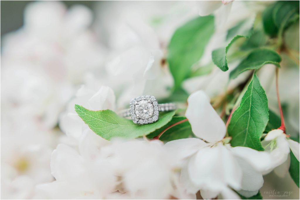 engagement ring on apple blossoms