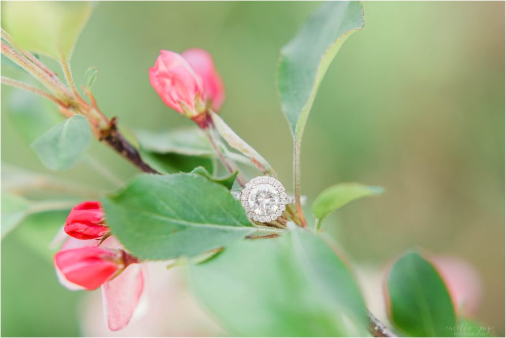 diamond ring flowers
