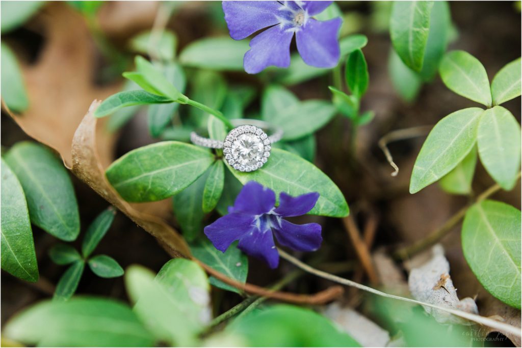 engagement ring with violets