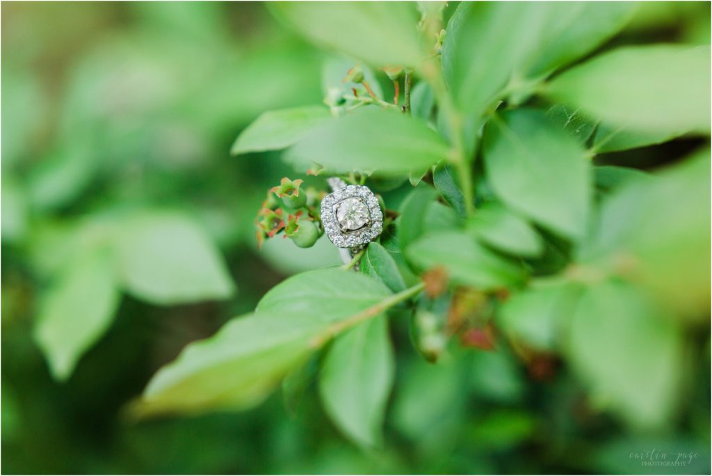 engagement ring in blueberries