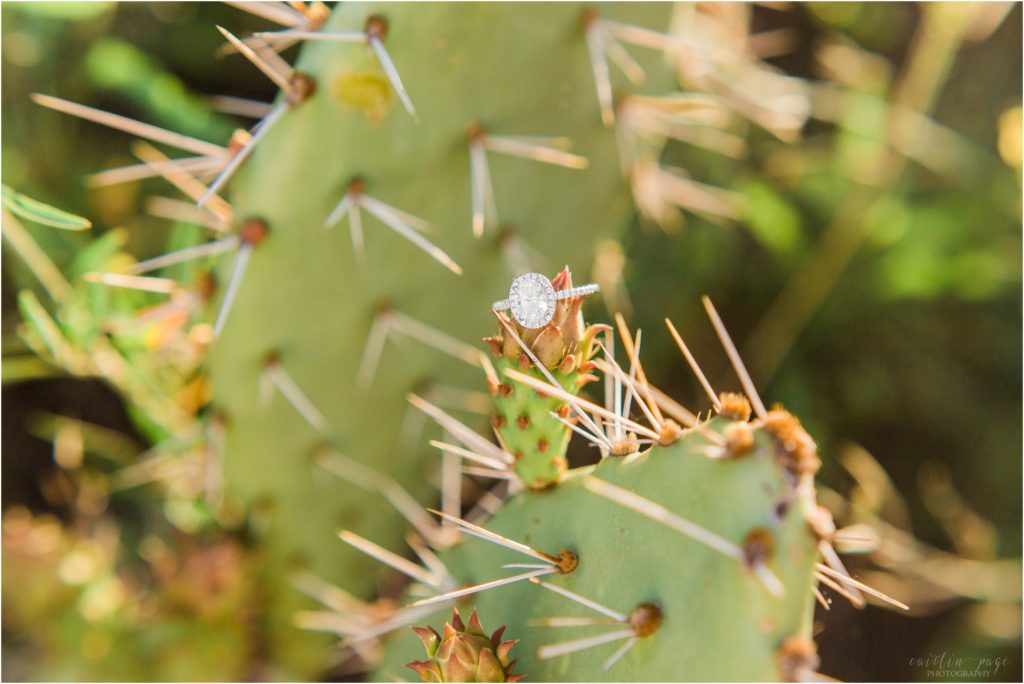 engagement ring cactus flower