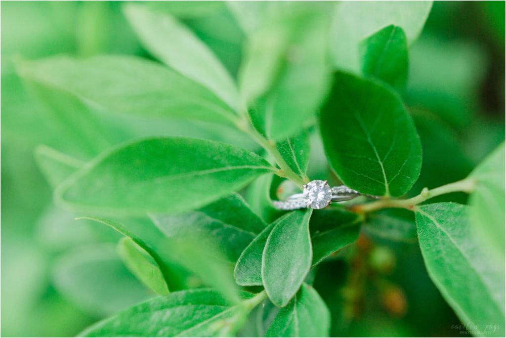 engagement ring on bush