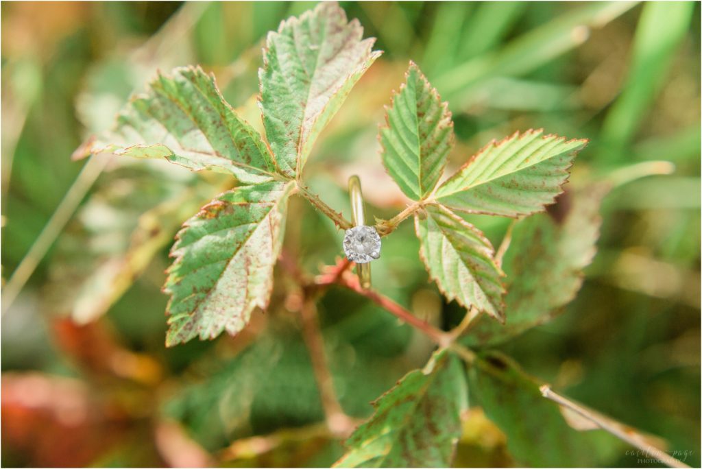 engagement ring on plant new hampshire