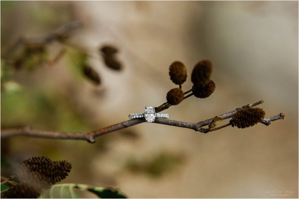 engagement ring on branch lower falls