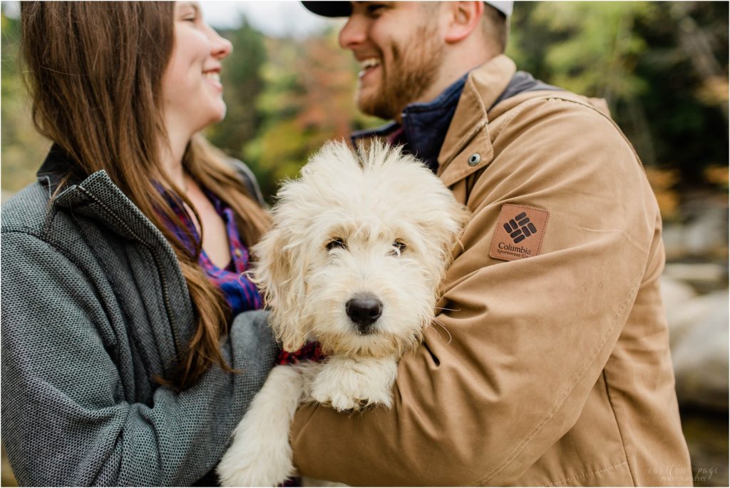 puppy with couple lower falls