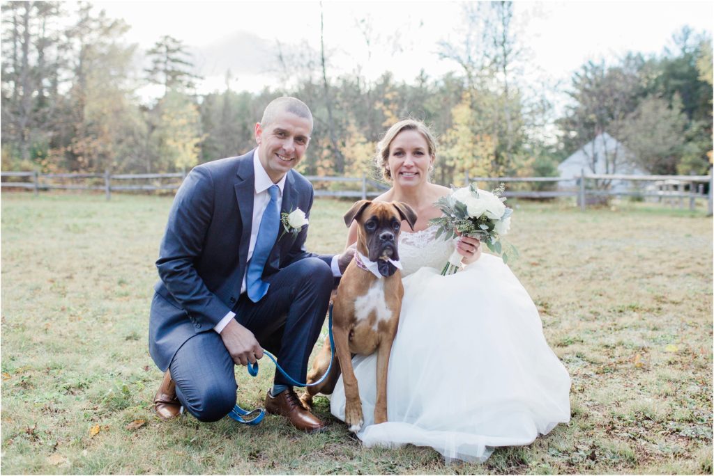 bride and groom and boxer puppy
