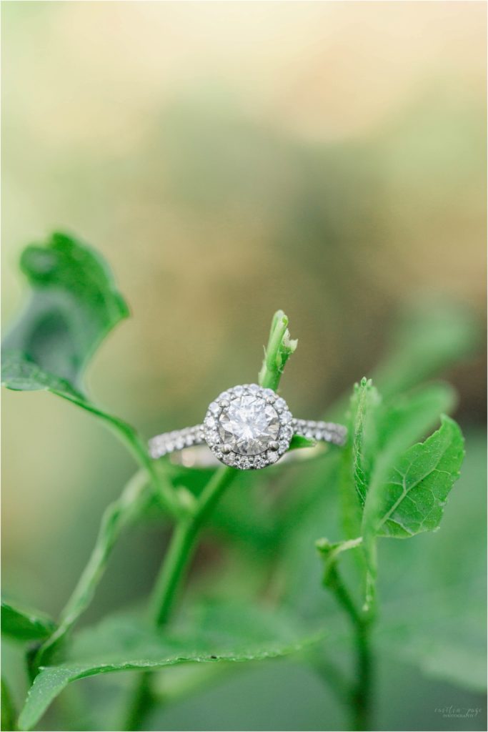 solitaire engagement ring with halo