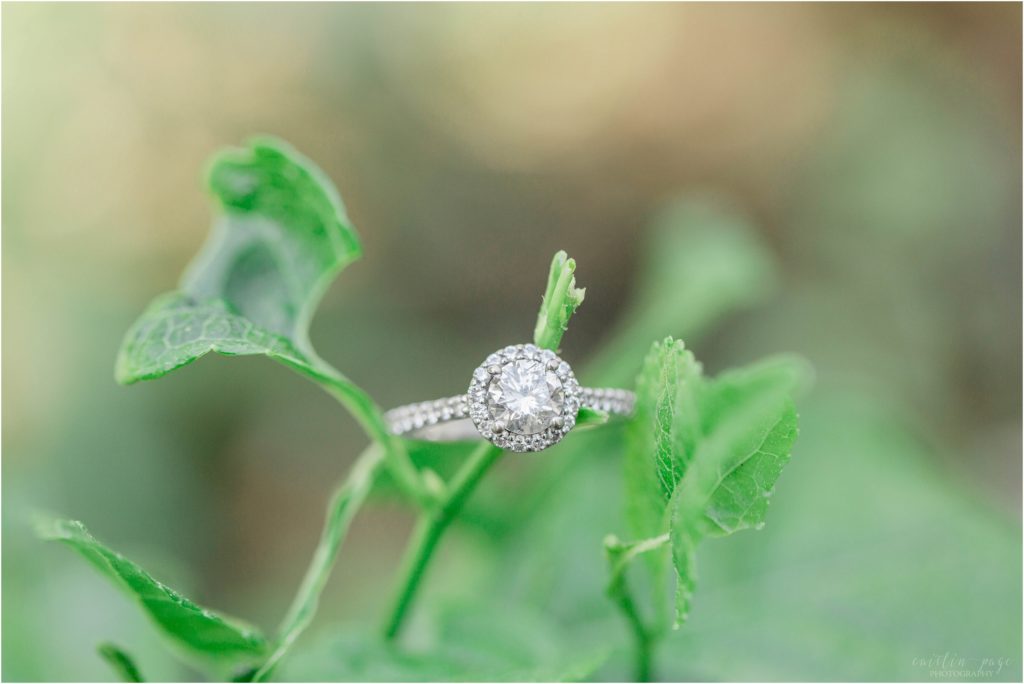 solitaire engagement ring with halo on plant