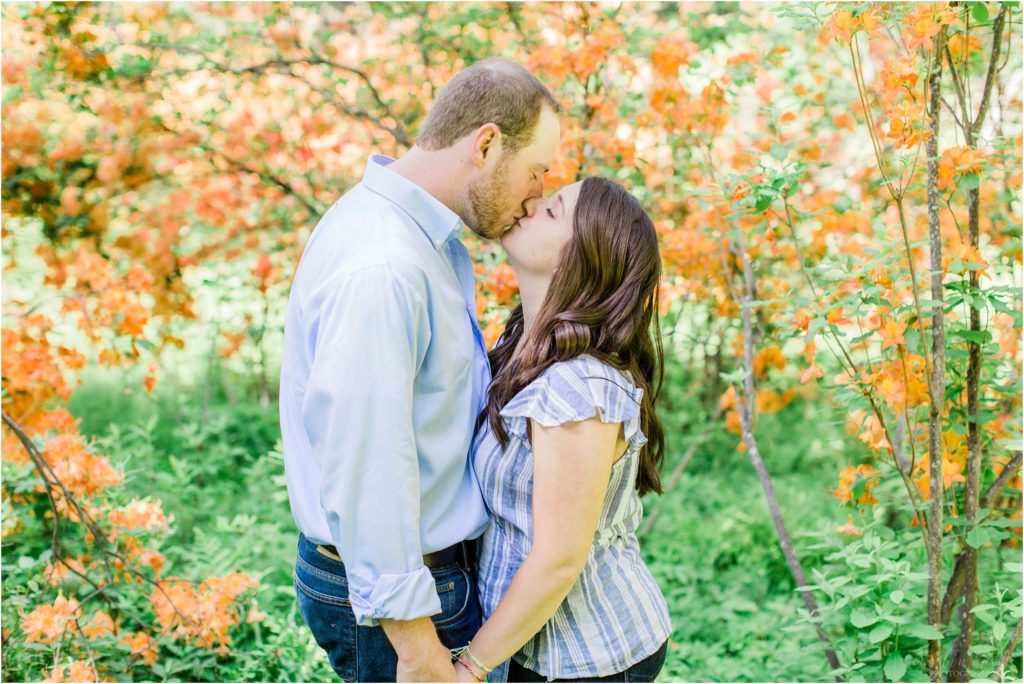 man and woman nuzzling in field of orange azaleas