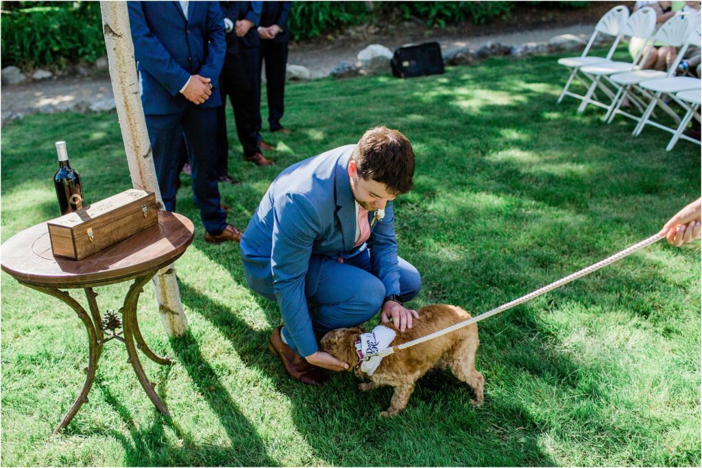 dog of honor greeting groom
