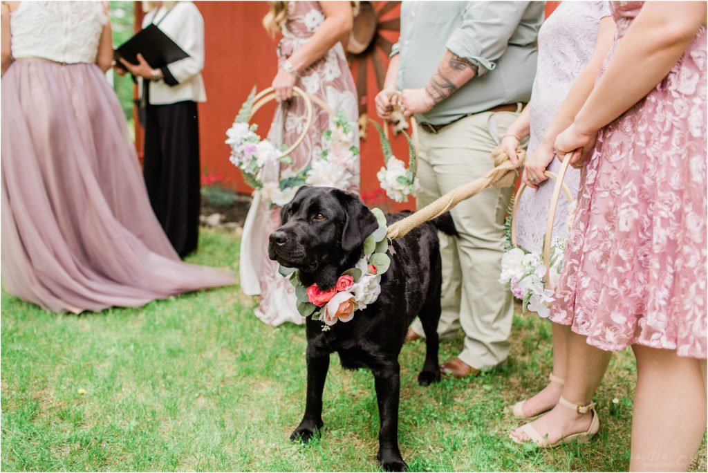 dog standing during ceremony