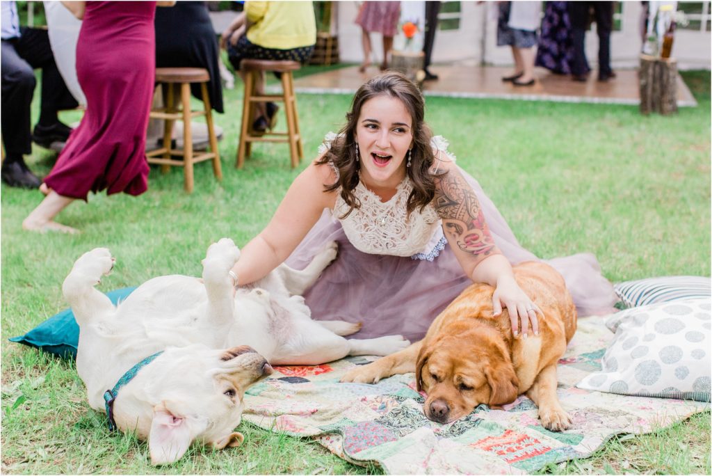 bride playing with dogs