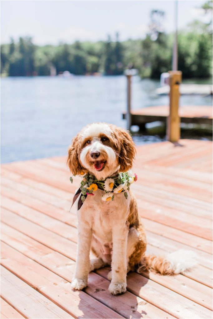 Dog ring bearer sitting on dock with flower crown