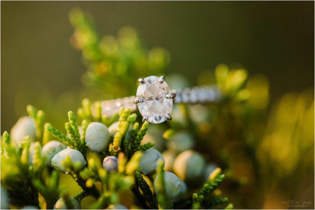 Oval engagement ring on juniper berry bush
