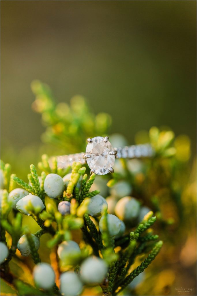 Oval engagement ring on juniper bush