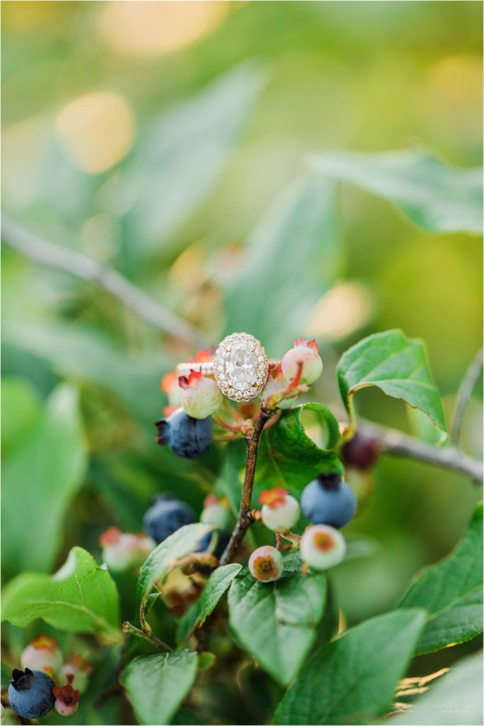 Rose gold engagement ring with oval diamond and halo on blueberry bushes