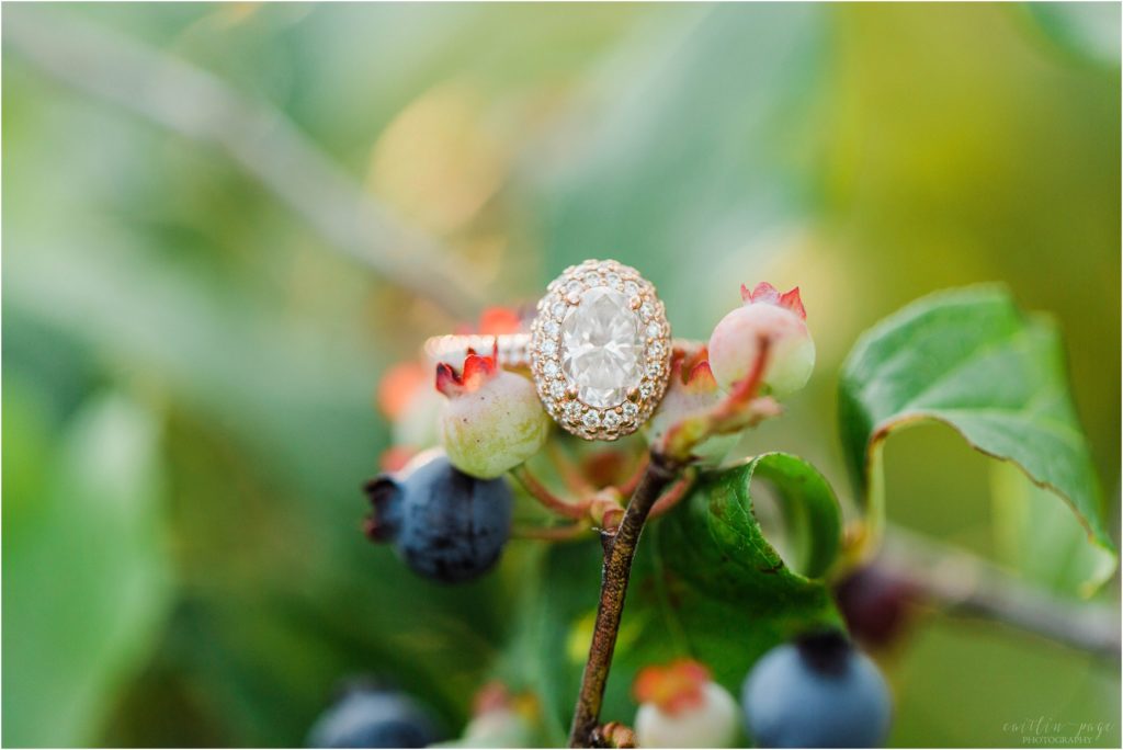 Rose gold engagement ring with oval diamond and halo on blueberry bushes