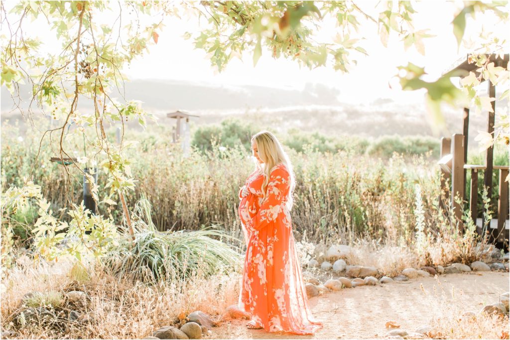 Pregnant woman standing in field under tree at sunset in Thomas Riley Wilderness Park, California