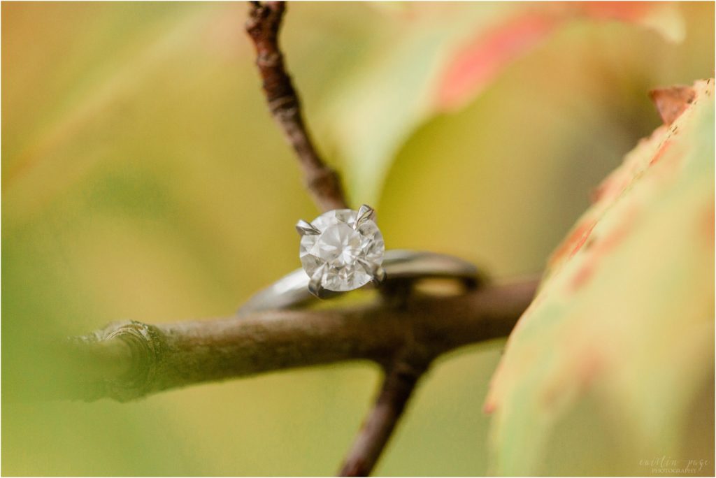 solitaire engagement ring on branch