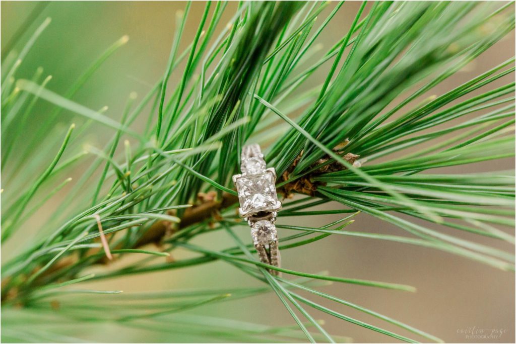 Square cut diamond engagement ring on pine tree branch