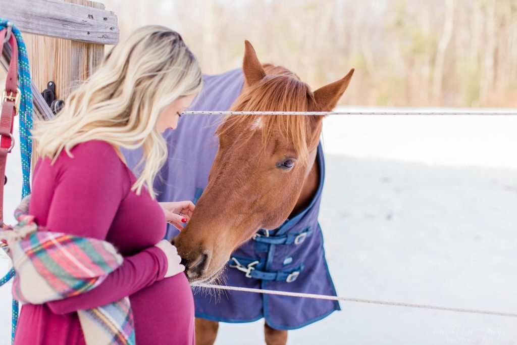 Horse nuzzling pregnant woman's belly