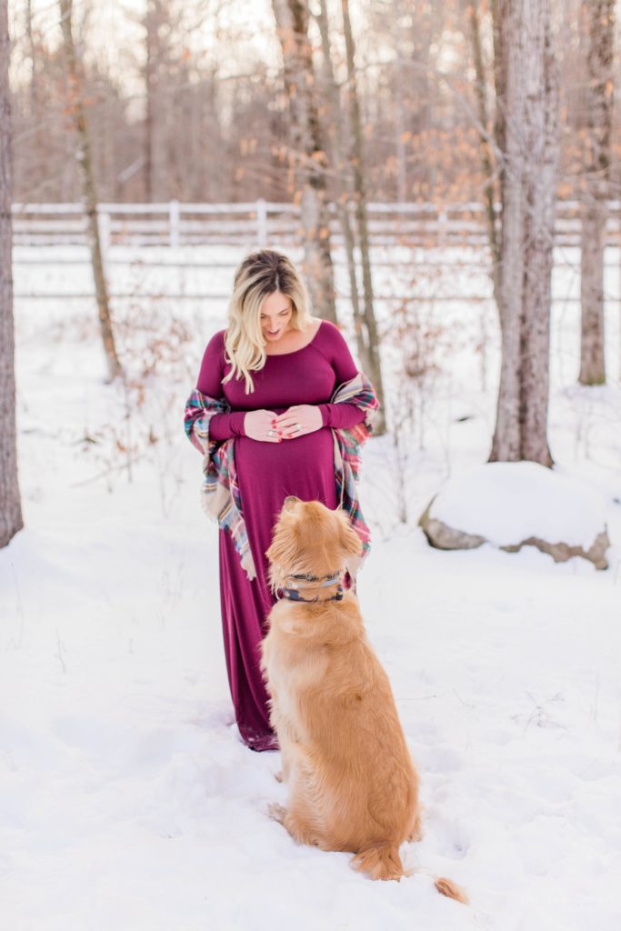 Pregnant woman in burgundy dress looking at dog