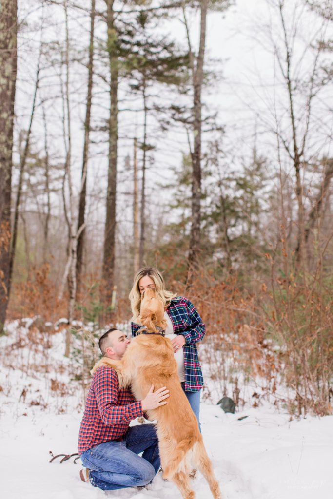 Golden retriever giving kisses to his owners