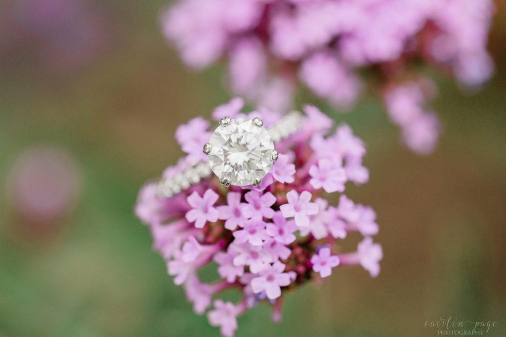 Diamond engagement ring on purple flowers