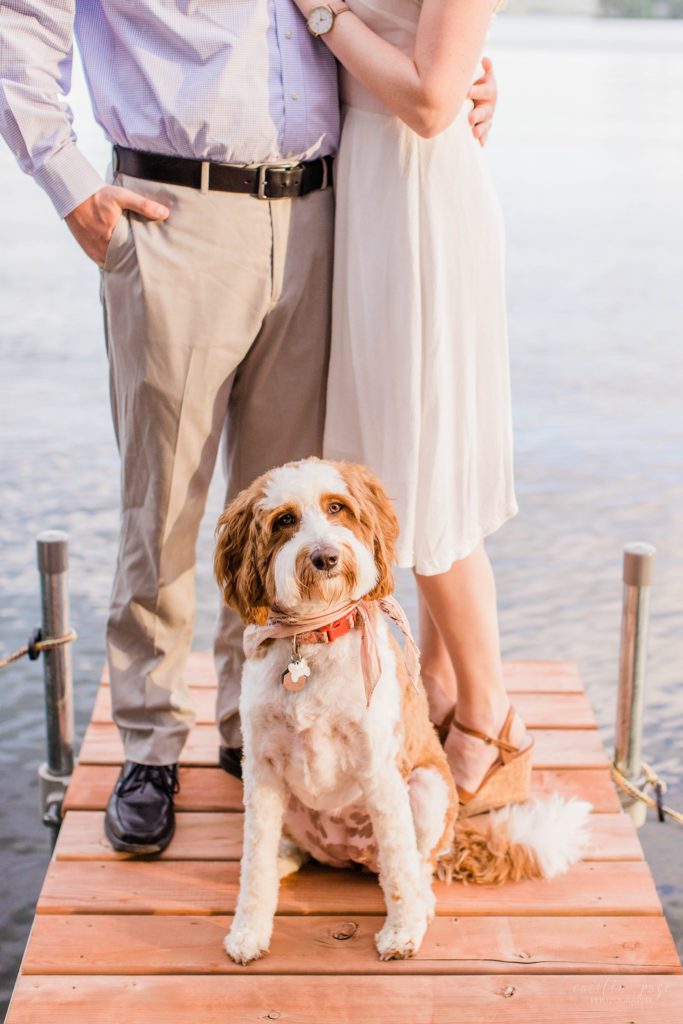 Dog staring at the camera in front of her parents on a dock