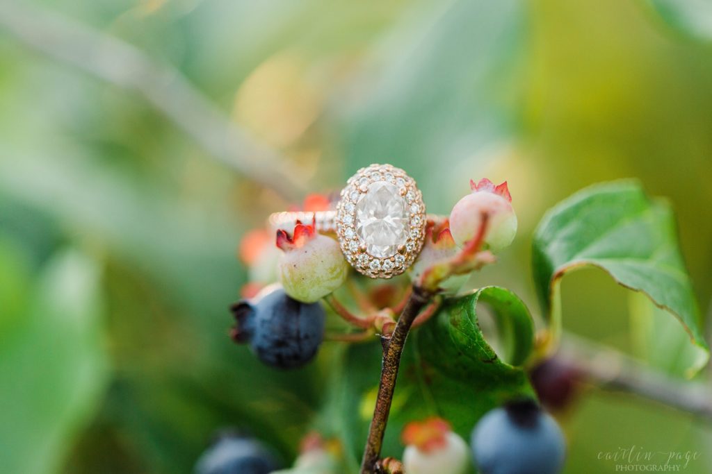Rose gold engagement ring on blueberry bushes