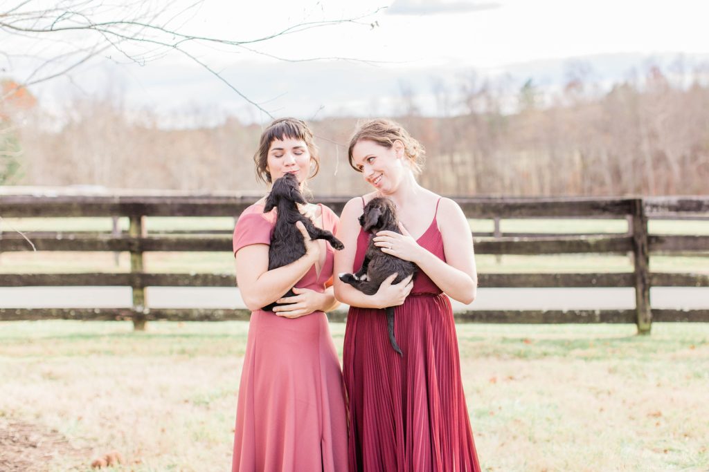 Bridesmaids in pink and cranberry toned dresses holding puppies at Mount Ida Farm in Charlottesville Virginia