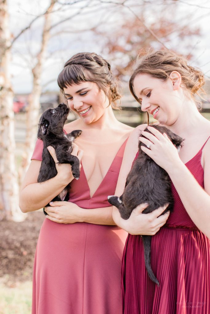 Bridesmaids in pink and cranberry toned dresses holding puppies at Mount Ida Farm in Charlottesville Virginia