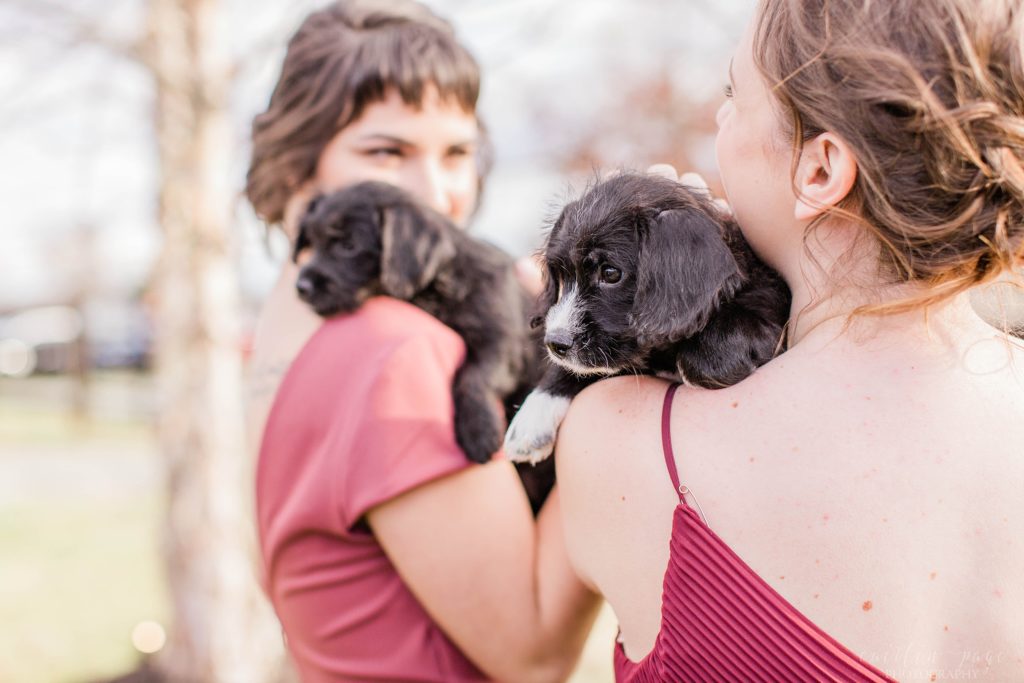 Bridesmaids in pink and cranberry toned dresses holding puppies at Mount Ida Farm in Charlottesville Virginia