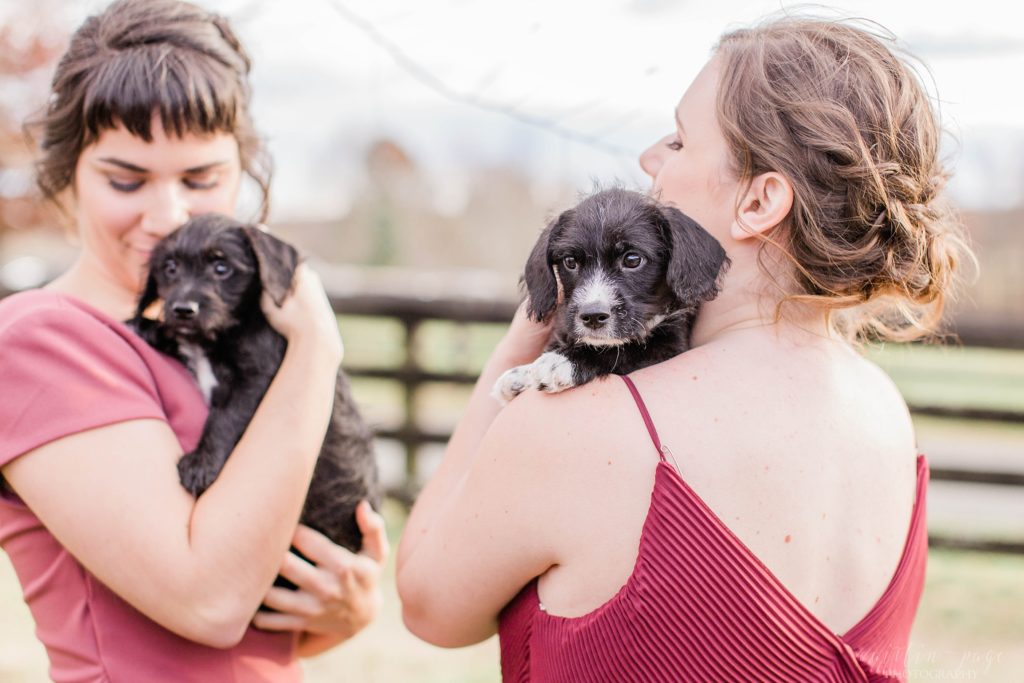 Bridesmaids in pink and cranberry toned dresses holding puppies at Mount Ida Farm in Charlottesville Virginia