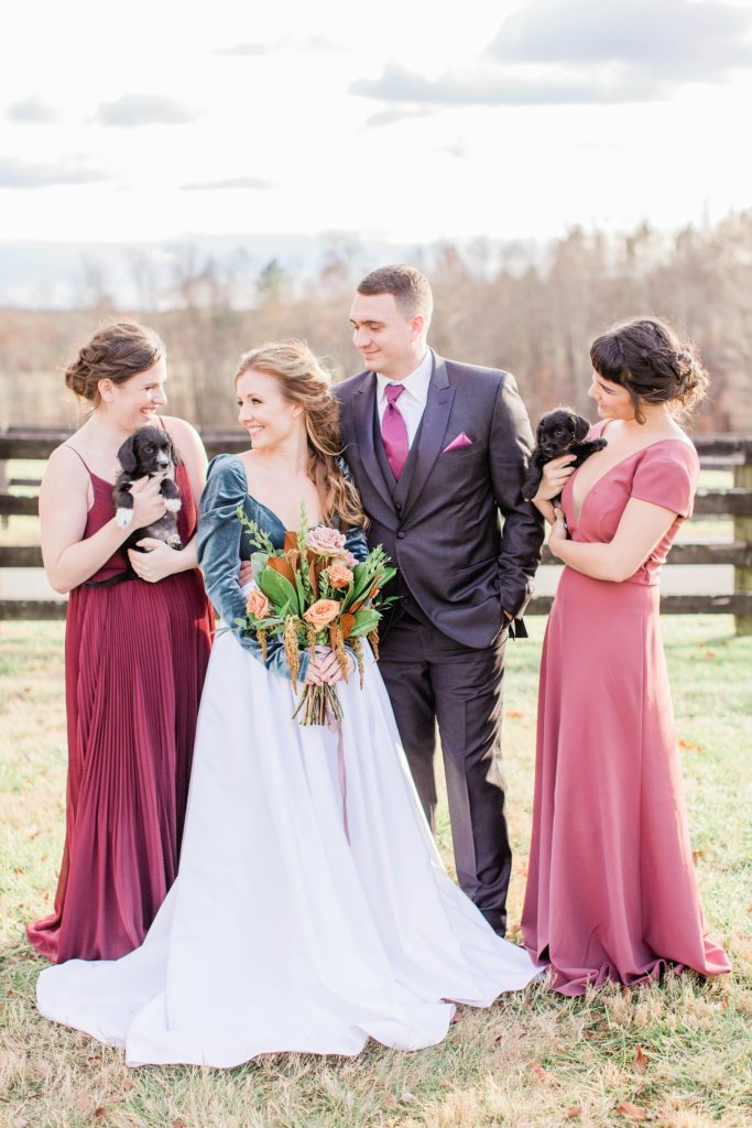 Bridal party holding puppies at Mount Ida Farm in Charlottesville Virginia