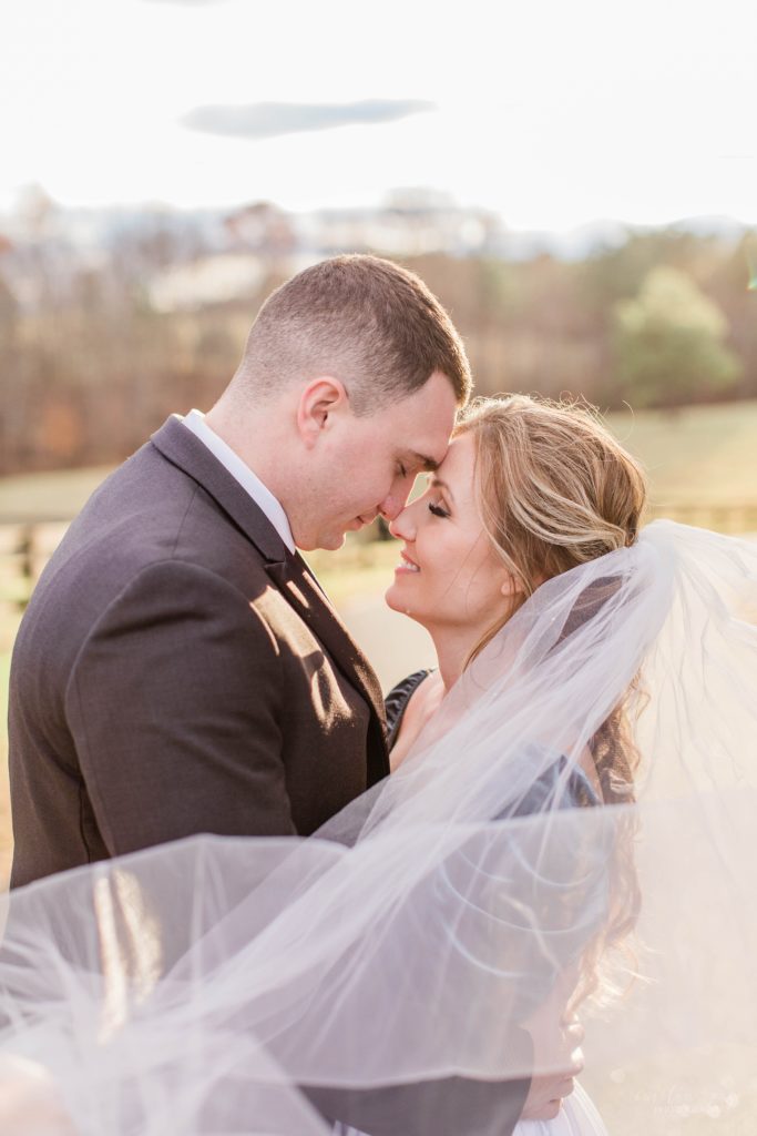 Bride and groom touching their noses together with the wedding veil in front of them at Mount Ida Farm in Charlottesville Virginia