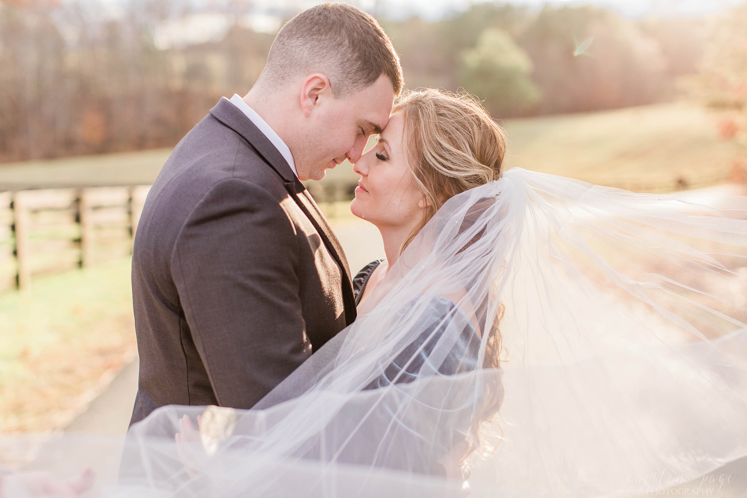 Bride and groom touching their noses together with the wedding veil in front of them at Mount Ida Farm in Charlottesville Virginia