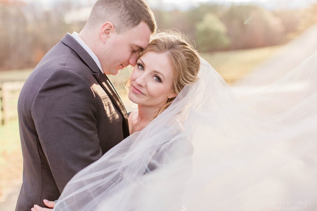 Groom nuzzling bride with the wedding veil in front of them at Mount Ida Farm in Charlottesville Virginia