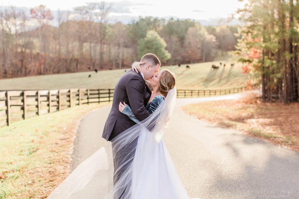 Bride and groom kissing at sunset in front of field of cows at Mount Ida Farm in Charlottesville Virginia