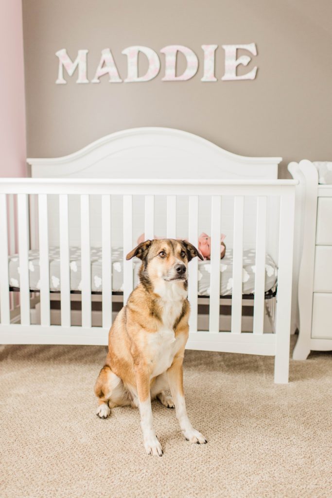 Dog sitting in front of baby girls crib in her nursery